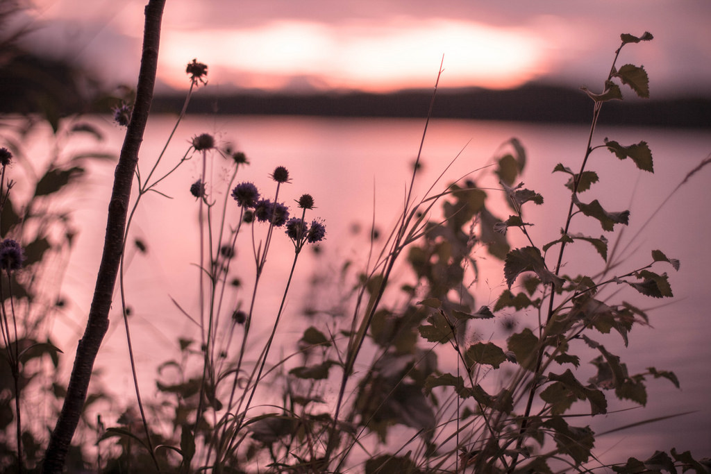 Source: http://shambholic.tumblr.com