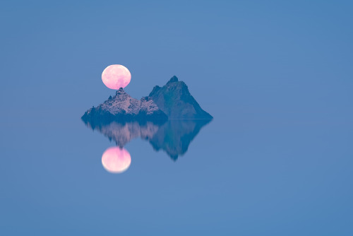 Source: http://expressions-of-nature.tumblr.com