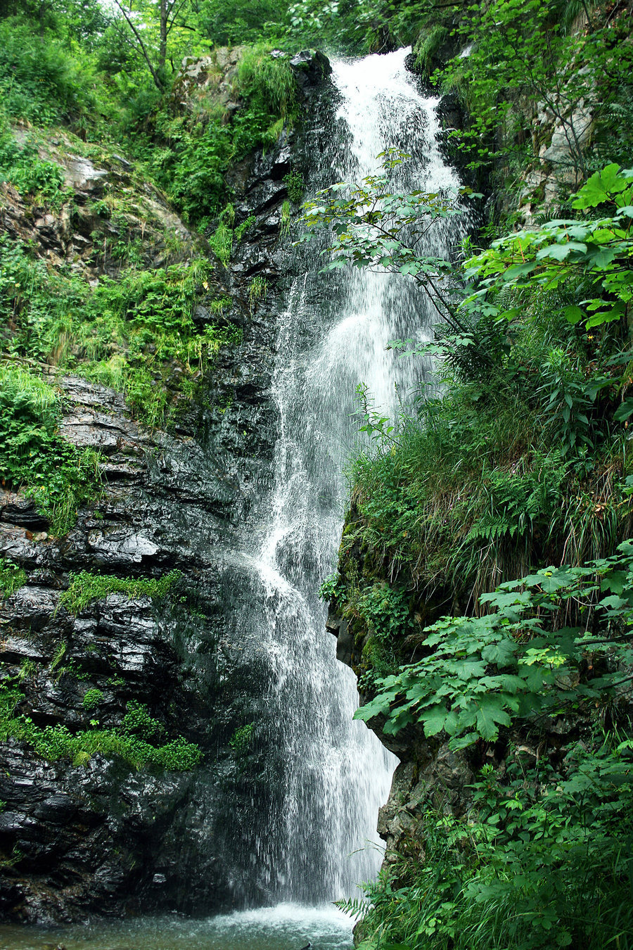 Source: http://tropic-havens.tumblr.com