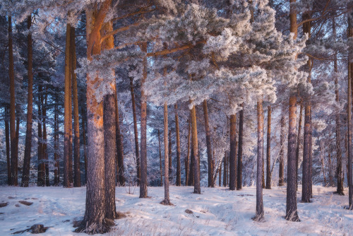 Source: http://expressions-of-nature.tumblr.com