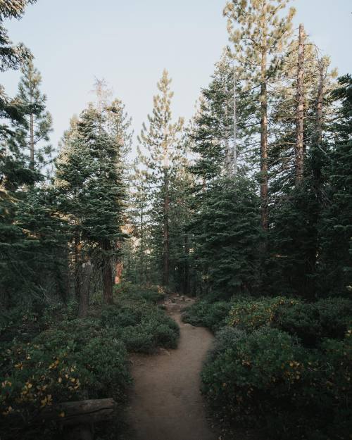 Source: http://whanderlost.tumblr.com