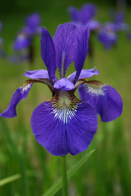 Source: http://satakentia.tumblr.com