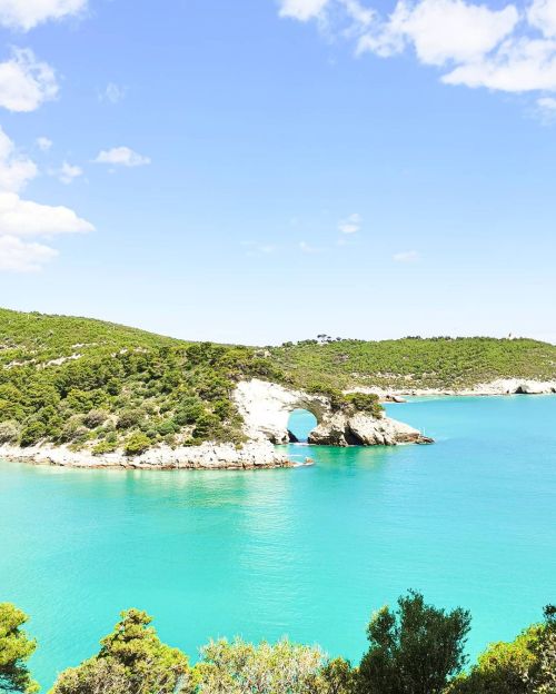 Source: http://icharous.tumblr.com