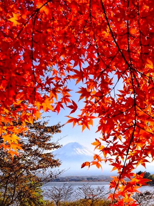 Source: http://coiour-my-world.tumblr.com