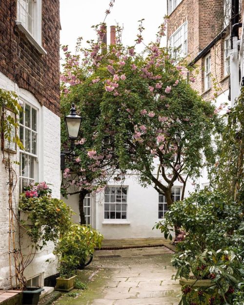 Source: http://alisaineurope.tumblr.com