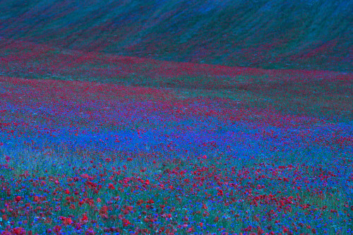 Source: http://expressions-of-nature.tumblr.com