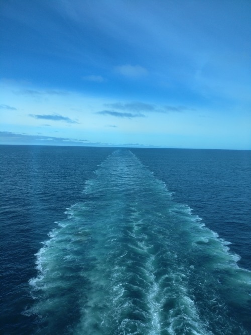 Source: http://shambholic.tumblr.com