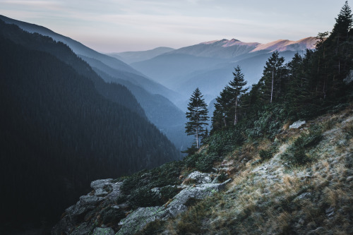 Source: http://expressions-of-nature.tumblr.com