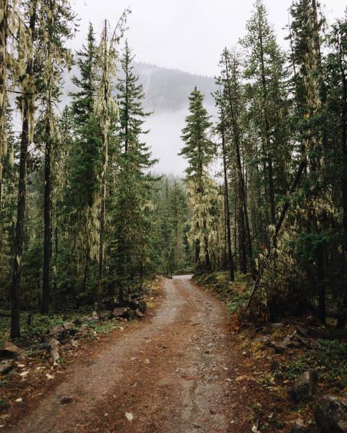 Source: http://deletingmyself.tumblr.com