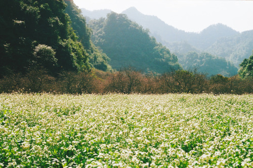 Source: http://losttindxmoon.tumblr.com