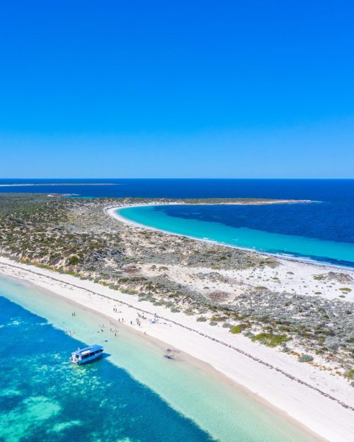 Source: http://tropic-havens.tumblr.com