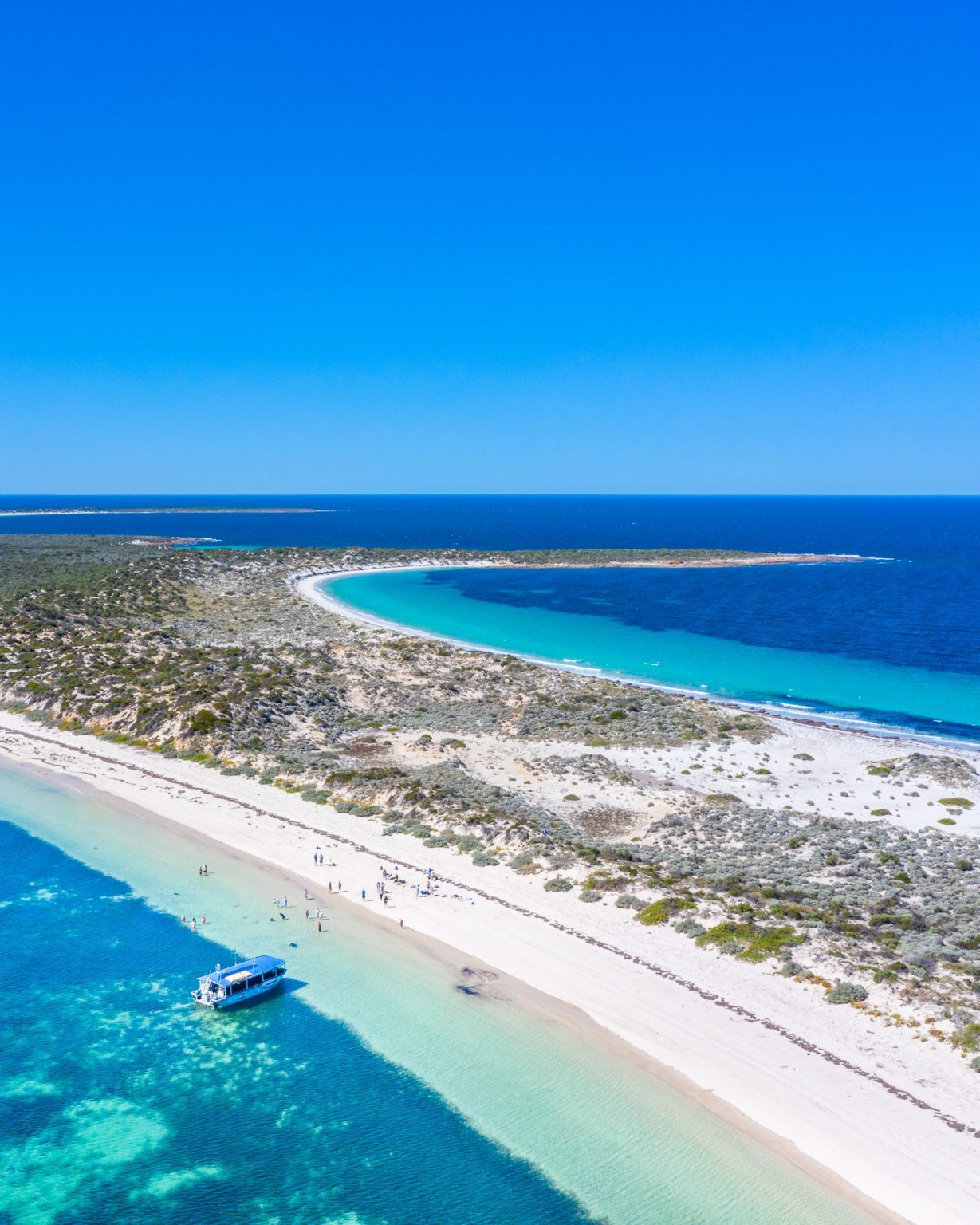 Source: http://tropic-havens.tumblr.com