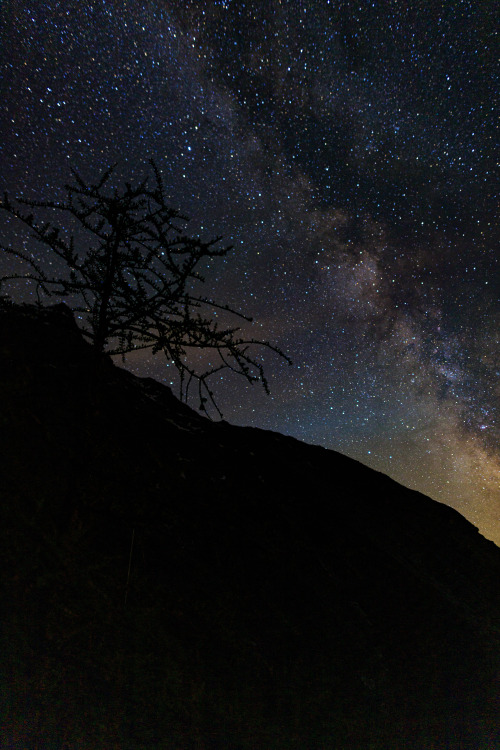 Source: http://nature-hiking.tumblr.com