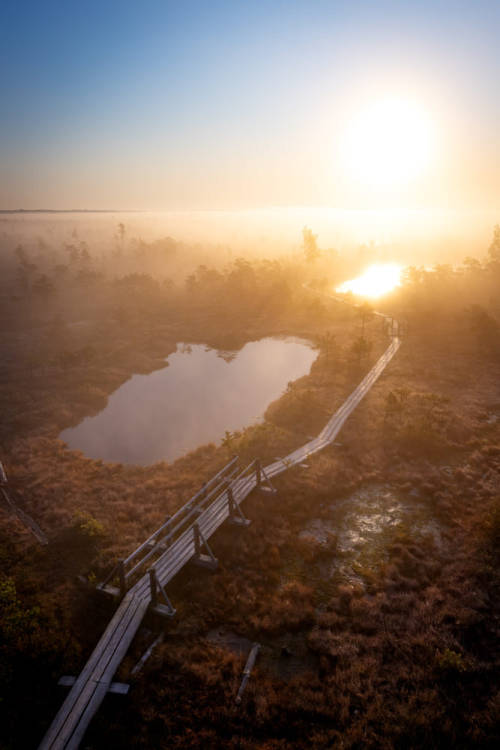 Source: http://ponderation.tumblr.com