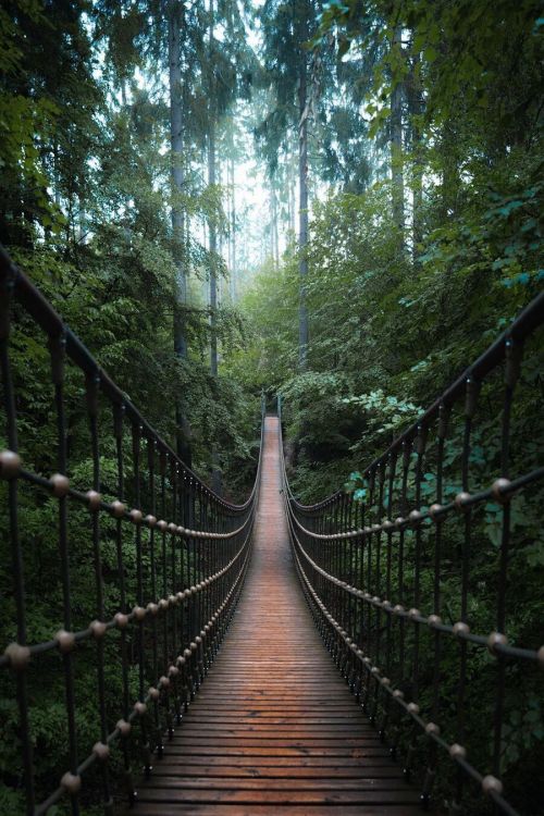 Source: http://wondrousworld.tumblr.com