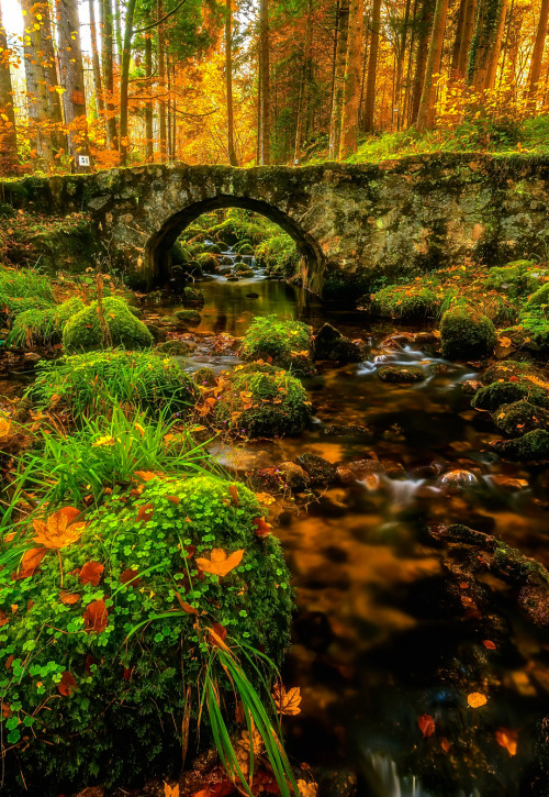 Source: http://coiour-my-world.tumblr.com