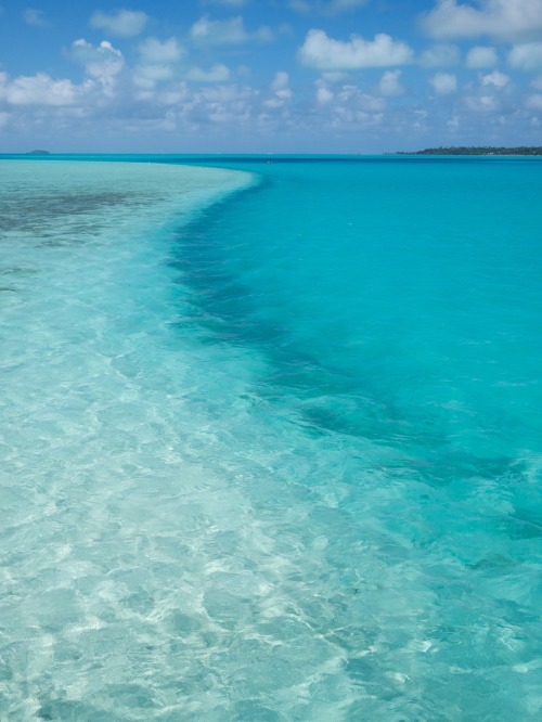 Source: http://fit-lifting-girl.tumblr.com