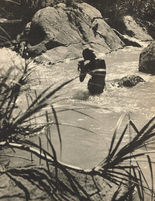 Source: http://solar-bar.tumblr.com