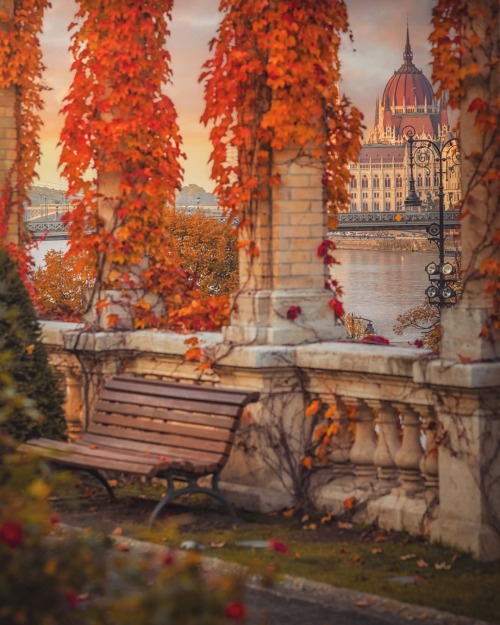 Source: http://alisaineurope.tumblr.com