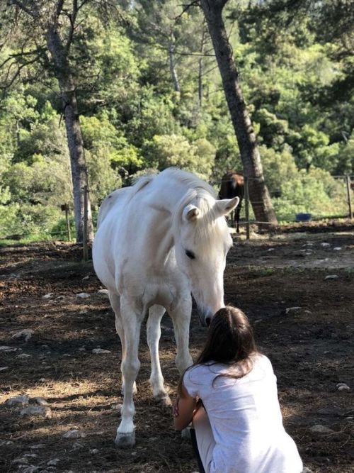 Source: http://luvinportofino.tumblr.com