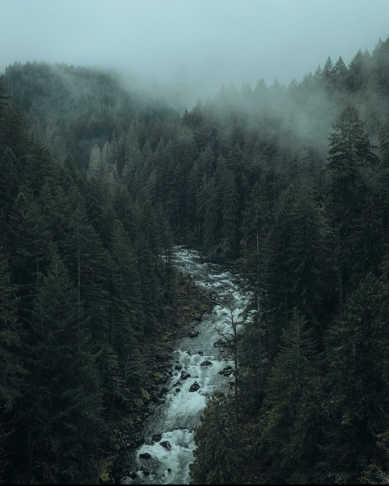 Source: http://whanderlost.tumblr.com