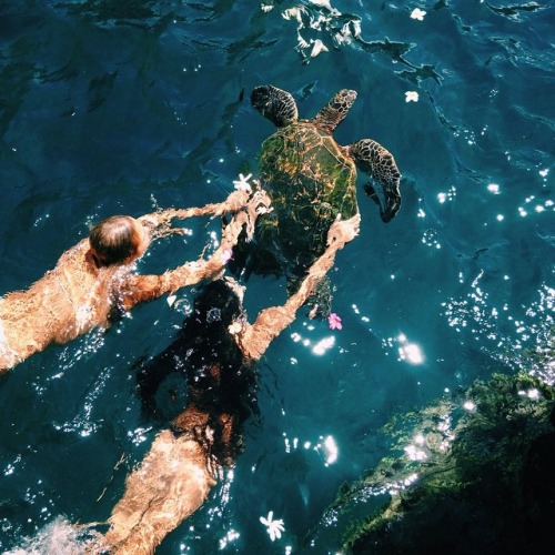 Source: http://mareperfeita.tumblr.com