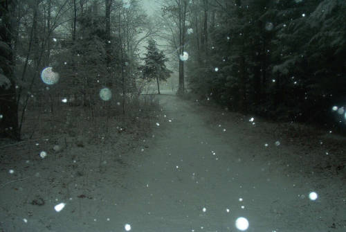 Source: http://deletingmyself.tumblr.com