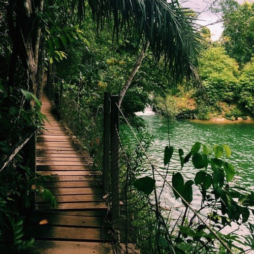 Source: http://worldtalks.tumblr.com