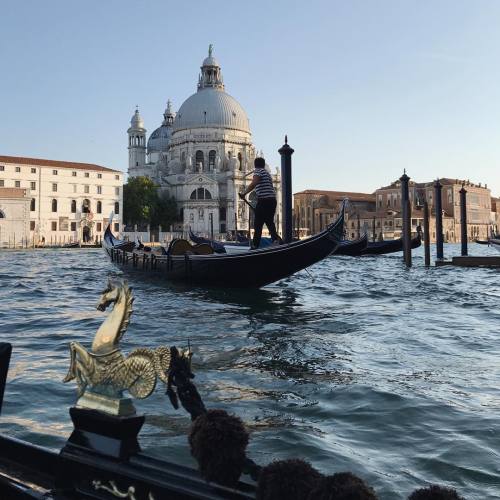 Source: http://shambholic.tumblr.com