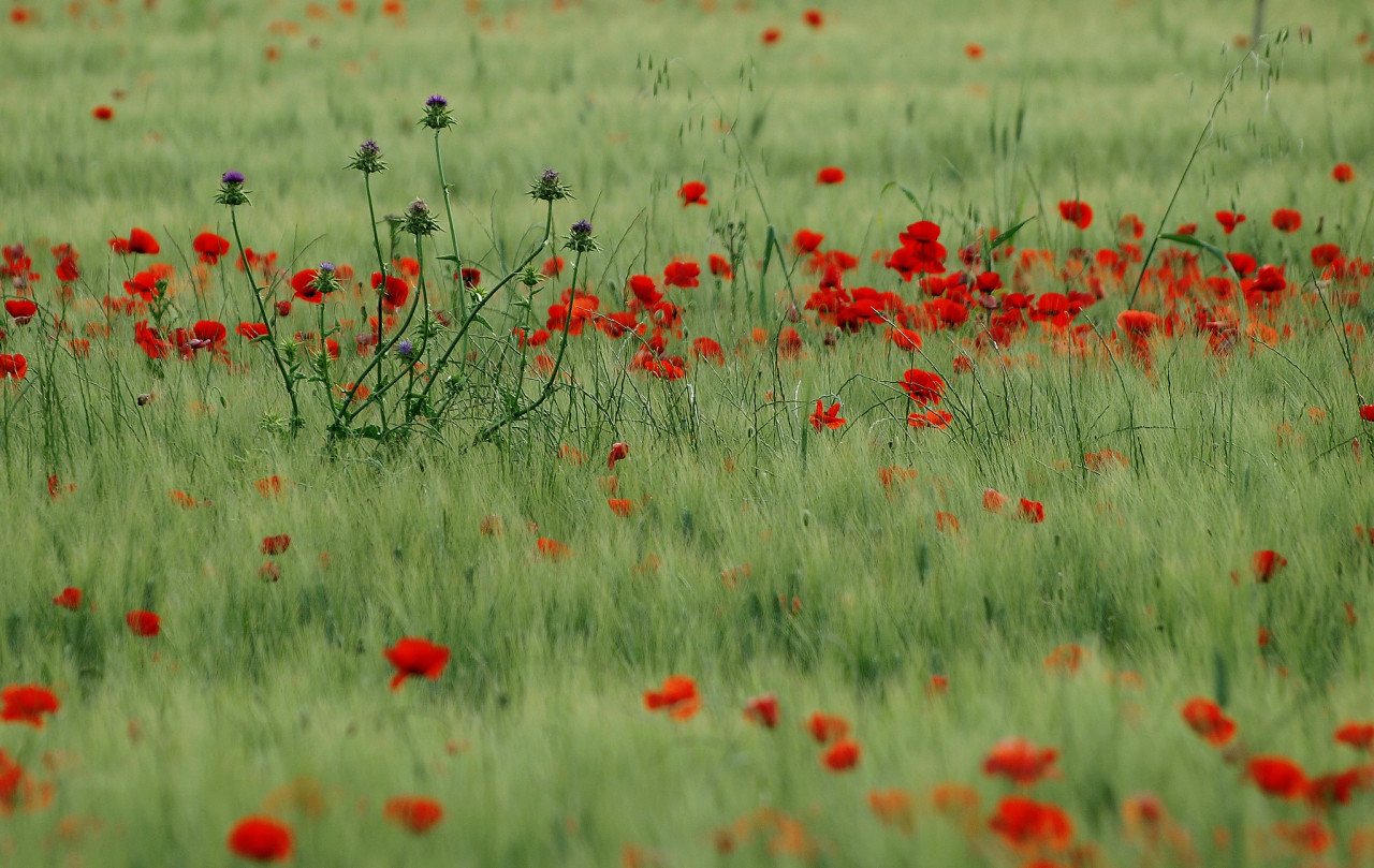 Source: http://expressions-of-nature.tumblr.com