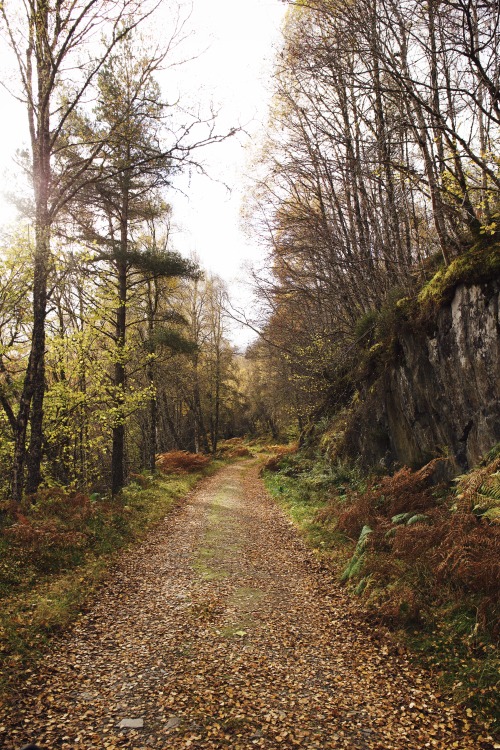 Source: http://kylebonallo.tumblr.com