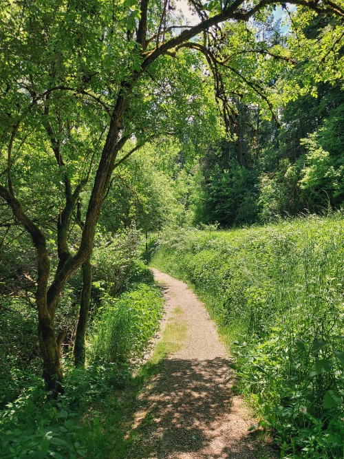 Source: http://faeriegardens.tumblr.com