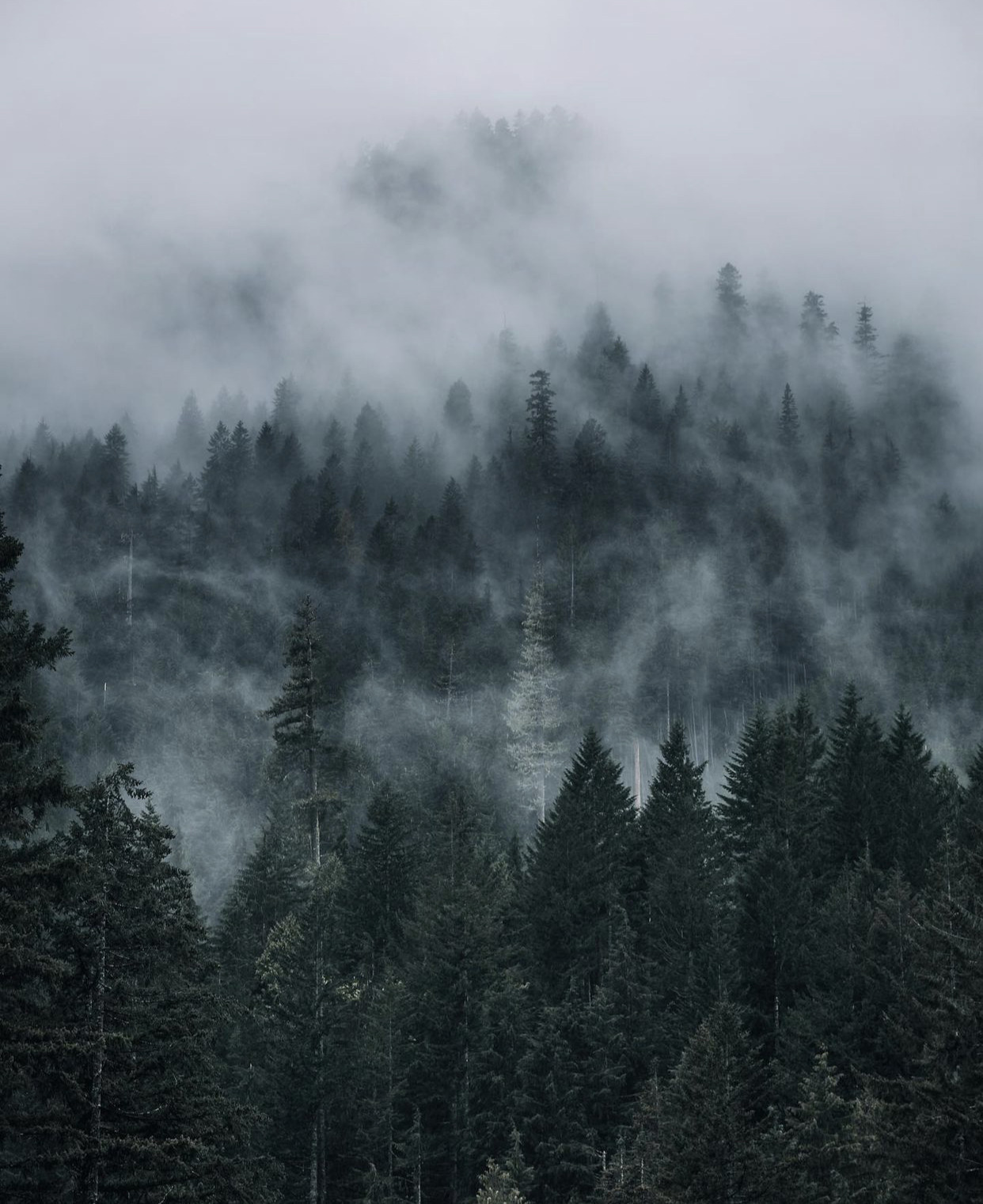 Source: http://whanderlost.tumblr.com