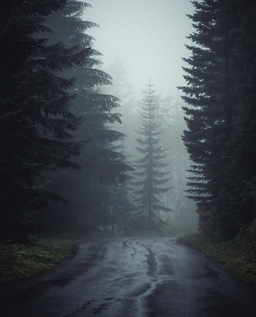 Source: http://whanderlost.tumblr.com