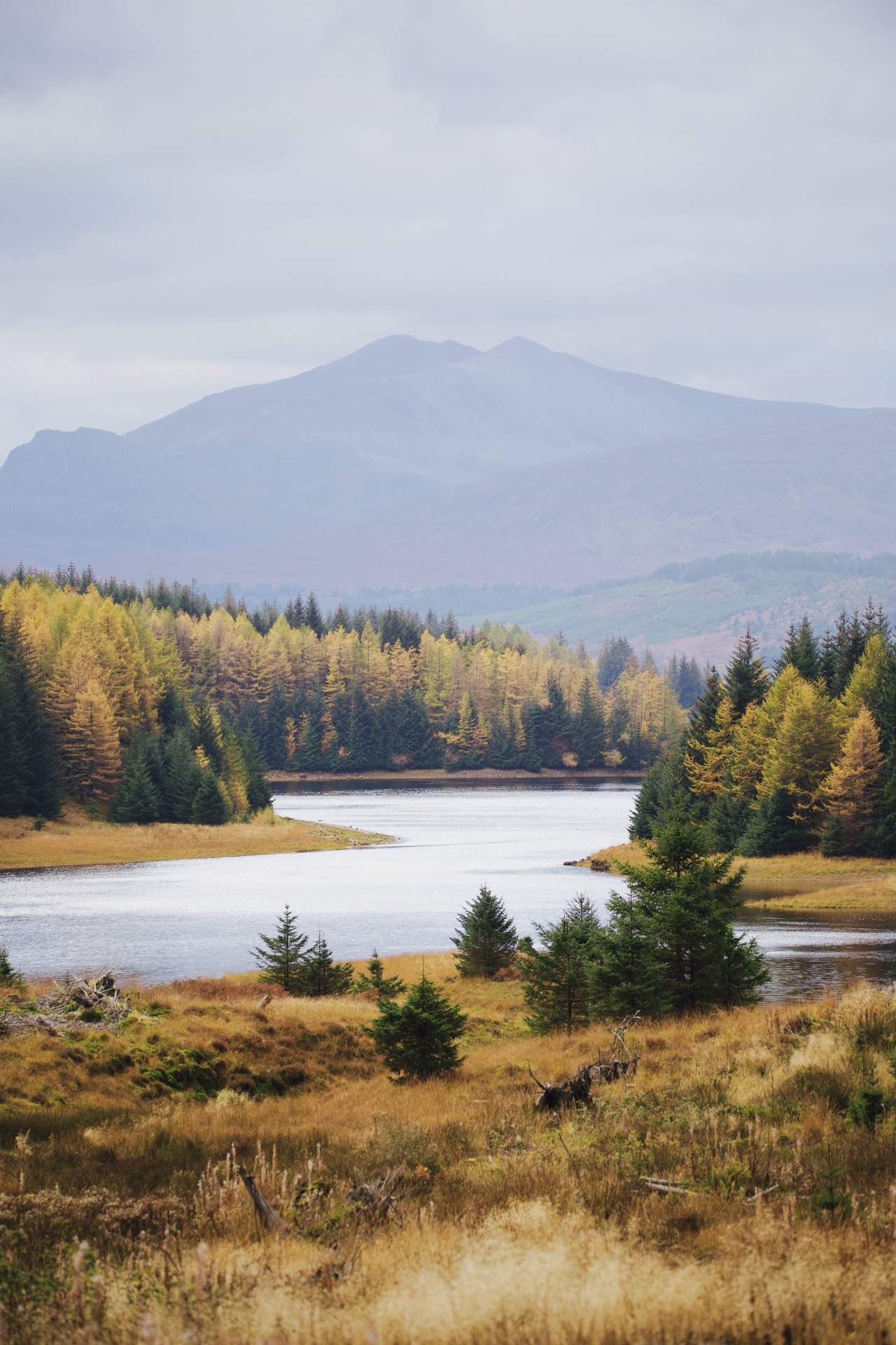 Source: http://kylebonallo.tumblr.com