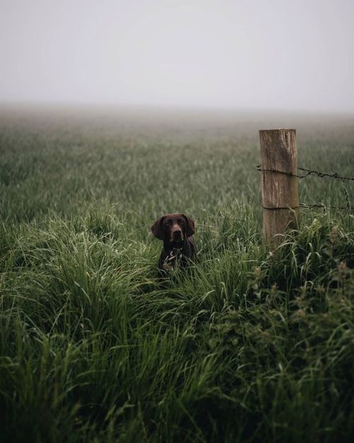 Source: http://losttindxmoon.tumblr.com