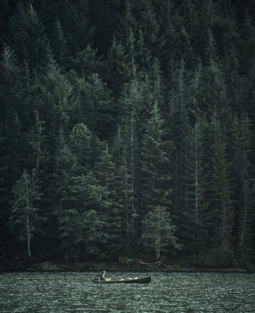 Source: http://naturenook.tumblr.com