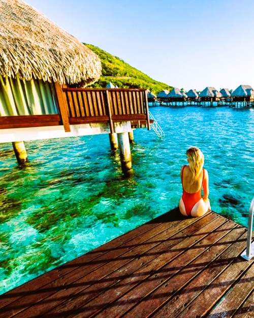 Source: http://oceaniastuff.tumblr.com