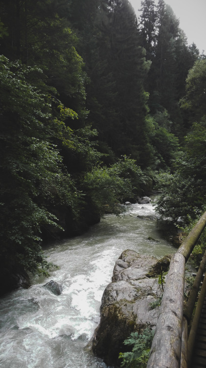 Source: http://junglerain.tumblr.com