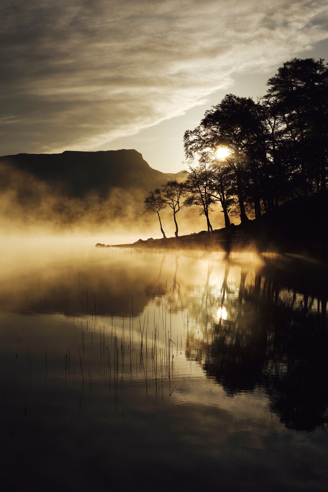 Source: http://kylebonallo.tumblr.com