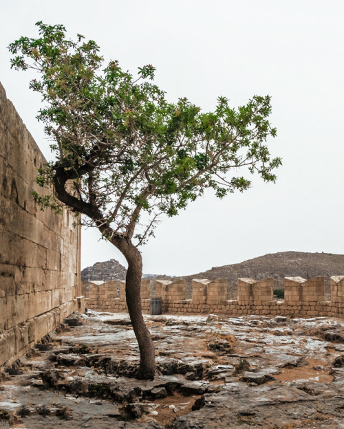 Source: http://alisaineurope.tumblr.com