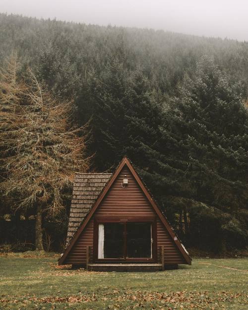 Source: http://junglerain.tumblr.com