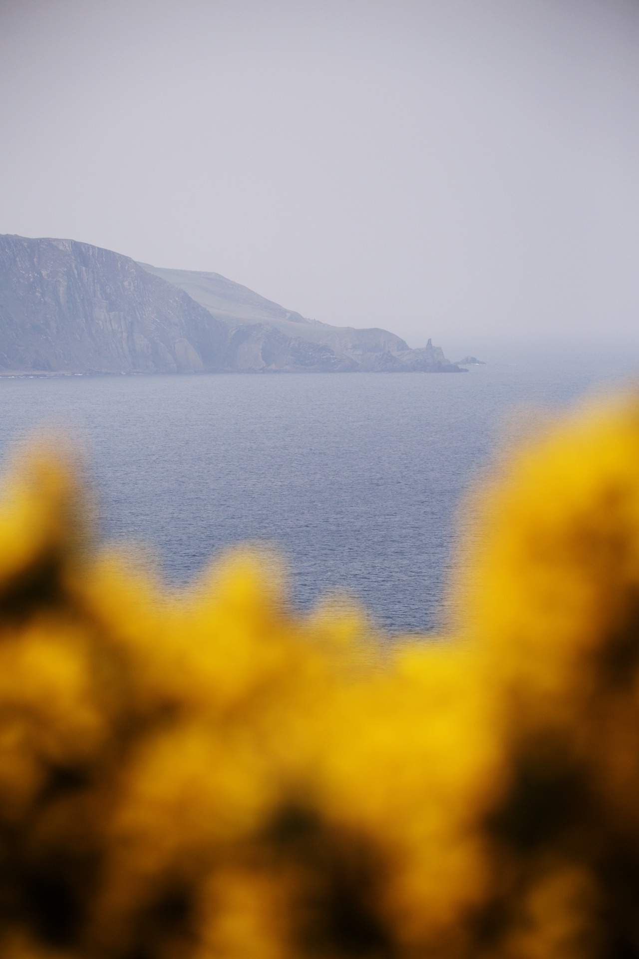 Source: http://kylebonallo.tumblr.com