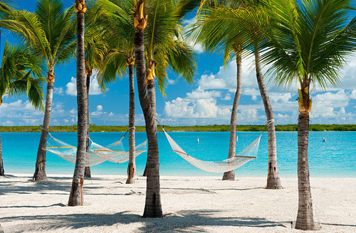 Source: http://shambholic.tumblr.com