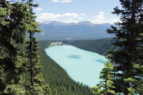 Source: http://deletingmyself.tumblr.com