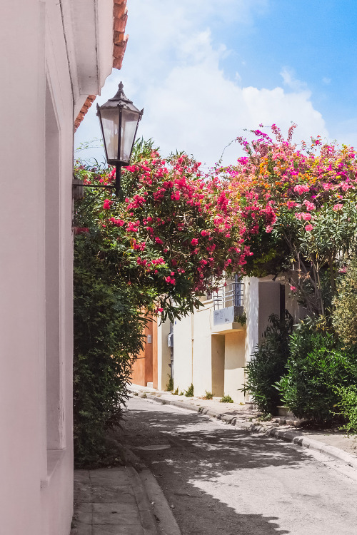 Source: http://alisaineurope.tumblr.com