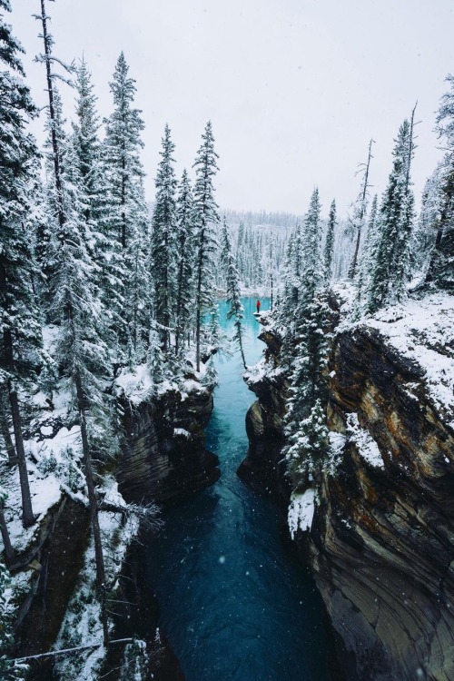 Source: http://wondrousworld.tumblr.com