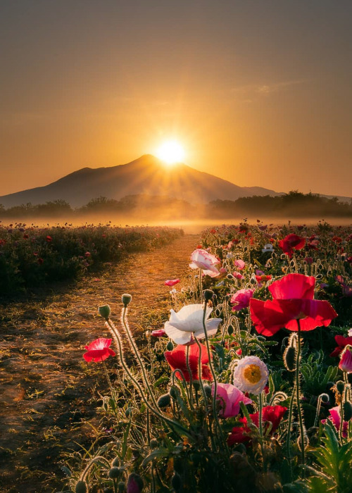 Source: http://coiour-my-world.tumblr.com