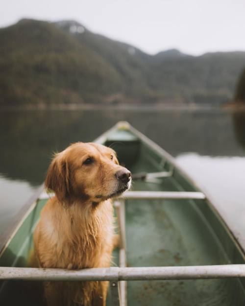 Source: http://junglerain.tumblr.com