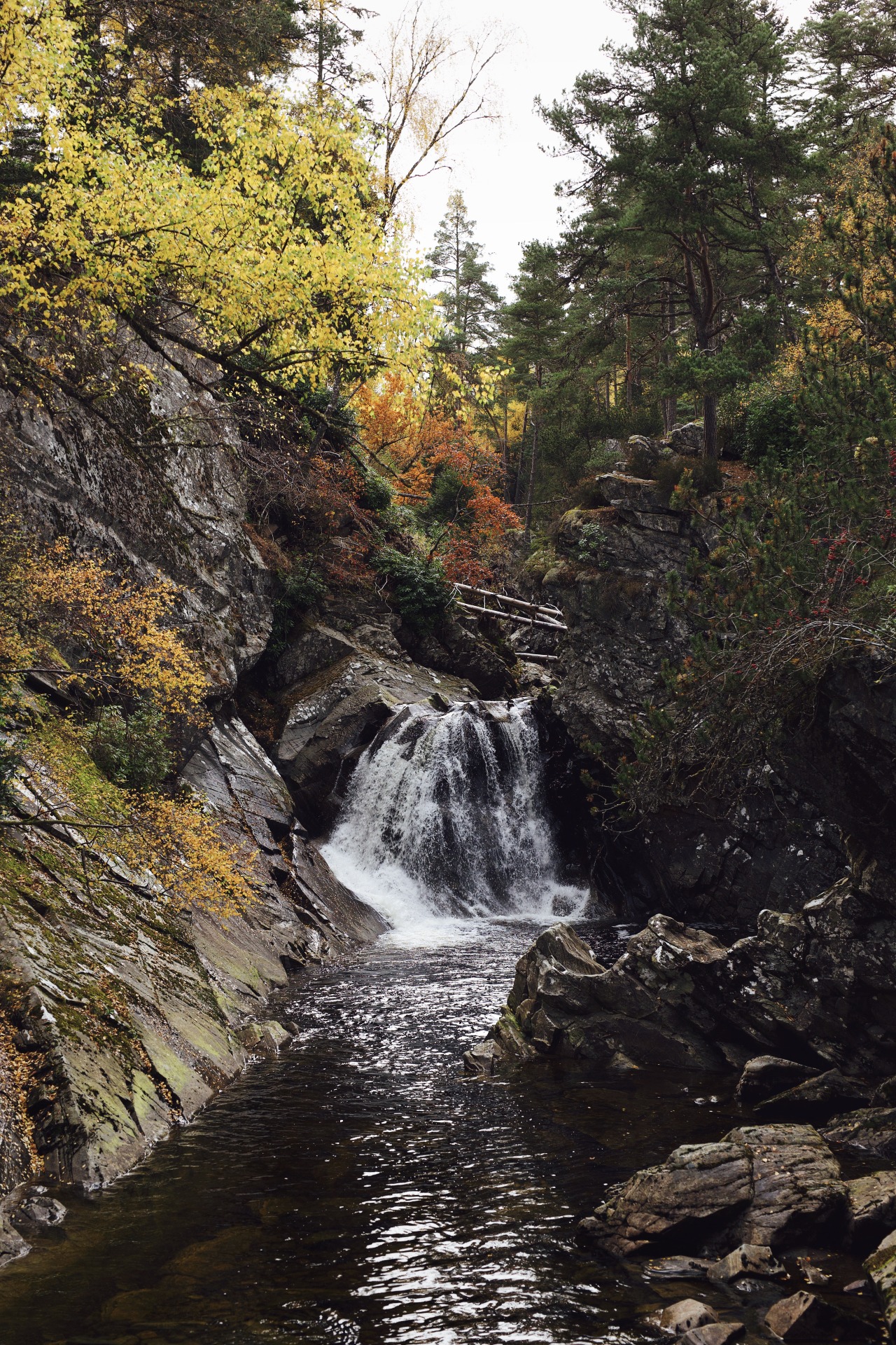 Source: http://kylebonallo.tumblr.com